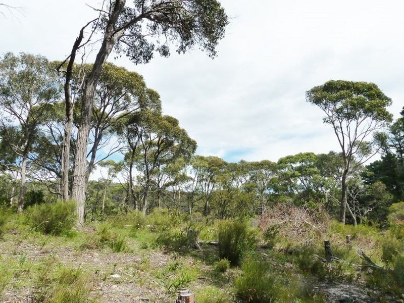 51 Emmett Road, Crafers West SA 5152