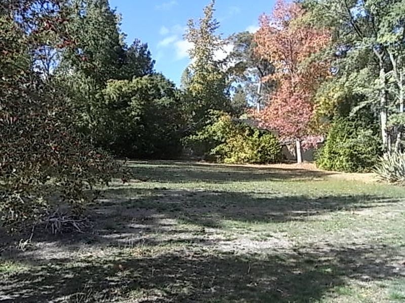 16 Pomona Road, Stirling SA 5152