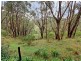 37 Sheoak Road, Crafers West SA 5152
