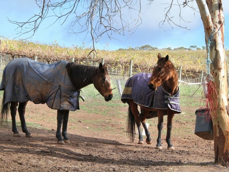 1652 Kangarilla Road, Clarendon SA 5157