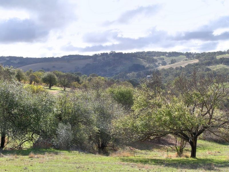 1652 Kangarilla Road, Clarendon SA 5157