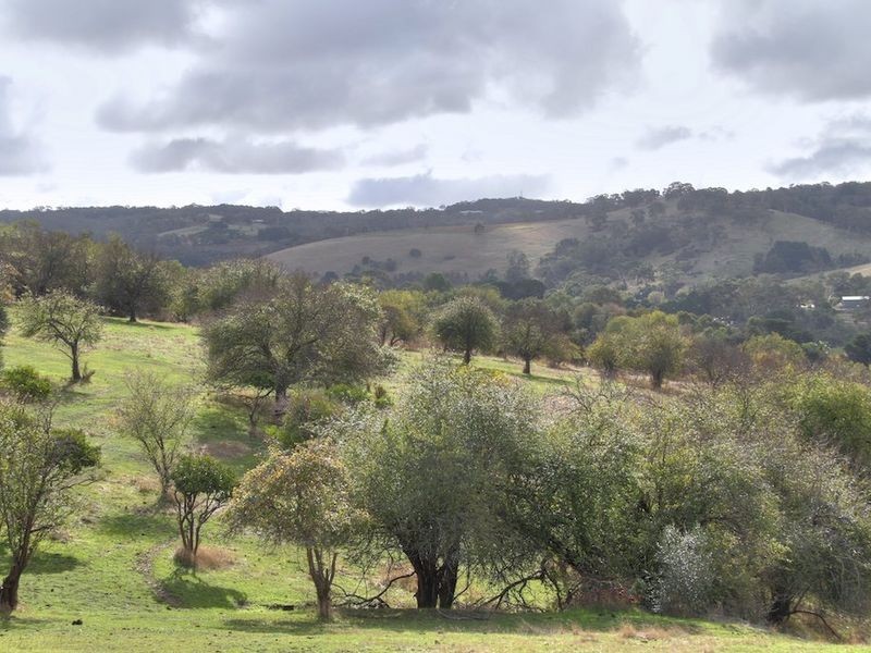 1652 Kangarilla Road, Clarendon SA 5157