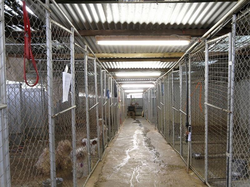 1652 Kangarilla Road, Clarendon SA 5157