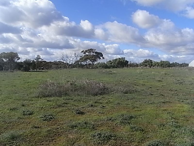 13 Bigmore Road, Murray Bridge SA 5253
