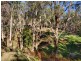 98b Gum Tree Glade, Norton Summit SA 5136
