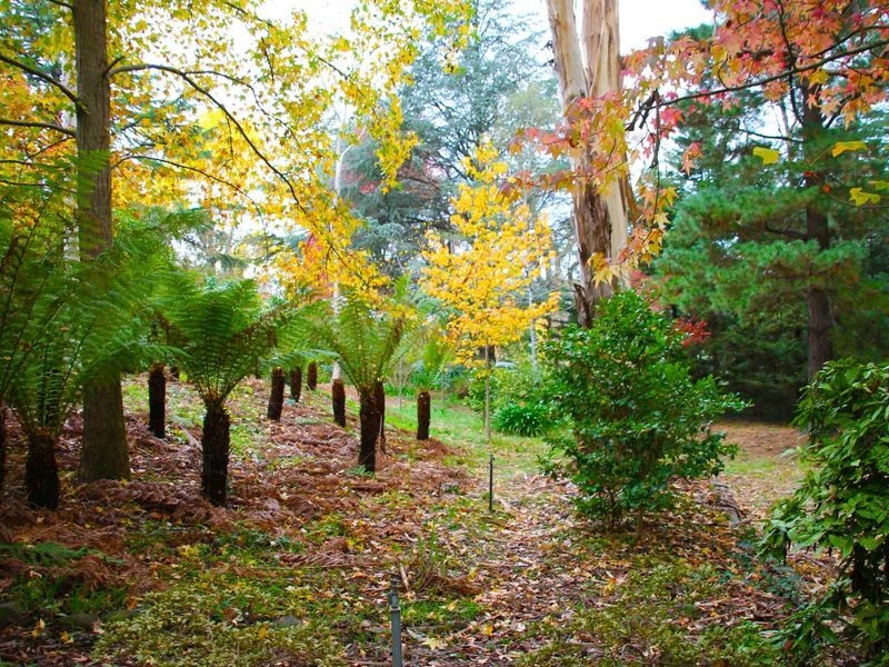 Lot 100 Piccadilly Road, Crafers SA 5152