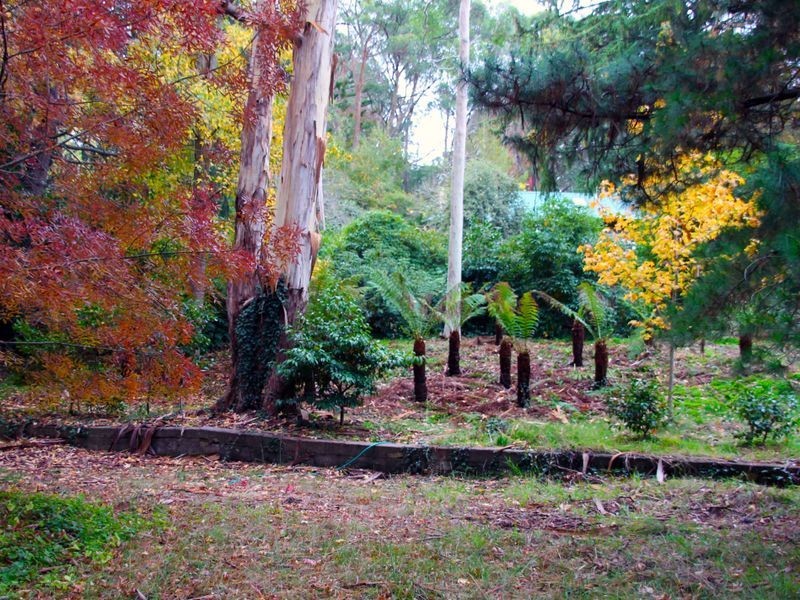 Lot 100 Piccadilly Road, Crafers SA 5152