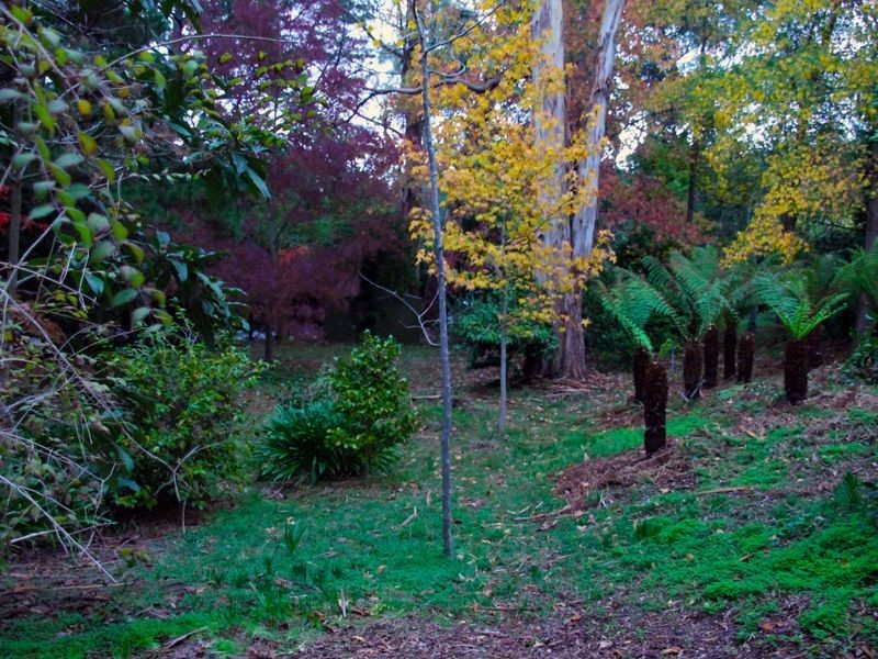 Lot 100 Piccadilly Road, Crafers SA 5152