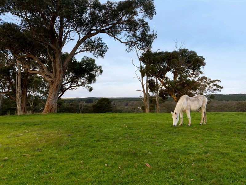 7 Tynan Road, Kuitpo SA 5172