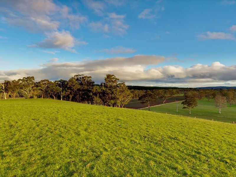 7 Tynan Road, Kuitpo SA 5172