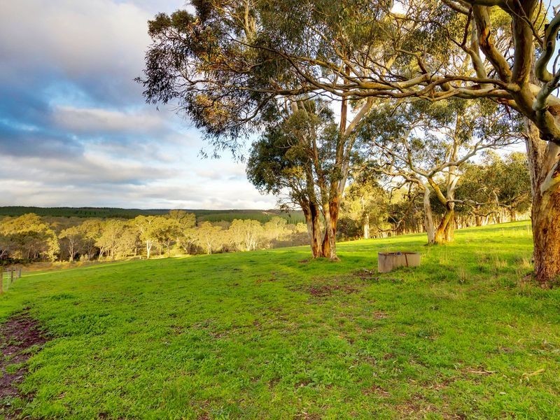 7 Tynan Road, Kuitpo SA 5172