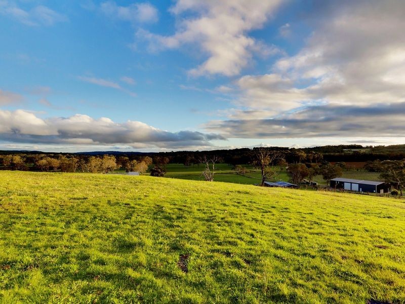 7 Tynan Road, Kuitpo SA 5172