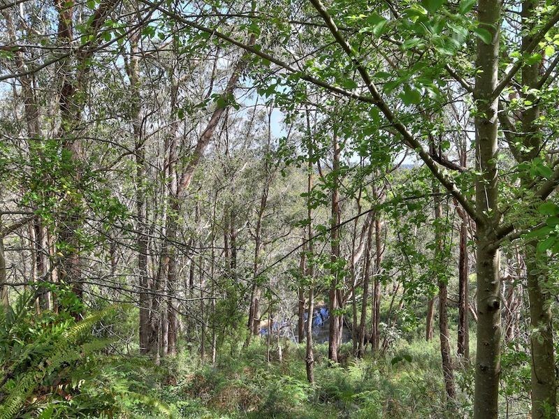 93 Sheoak Road, Crafers West SA 5152