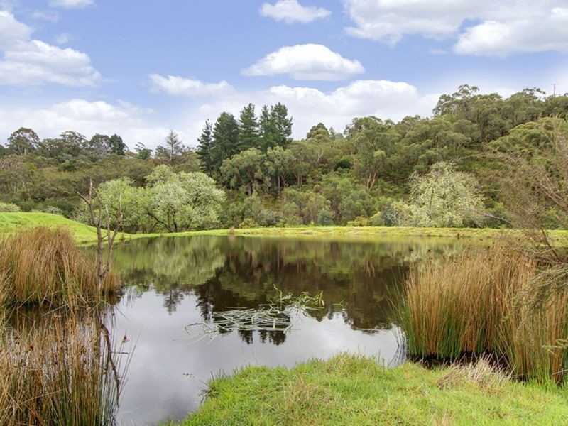 213 Nicholls Road, Bradbury SA 5153