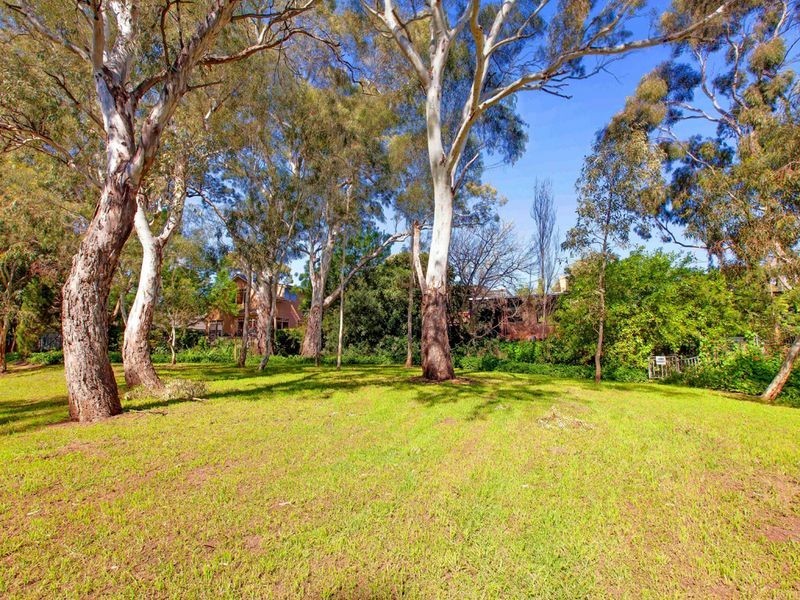 6 Pulford Grove, Magill SA 5072