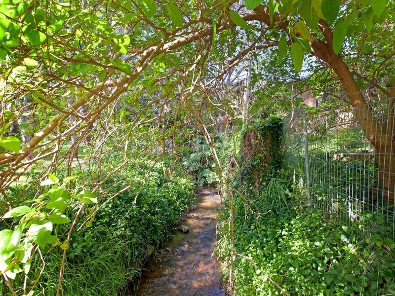 6 Pulford Grove, Magill SA 5072