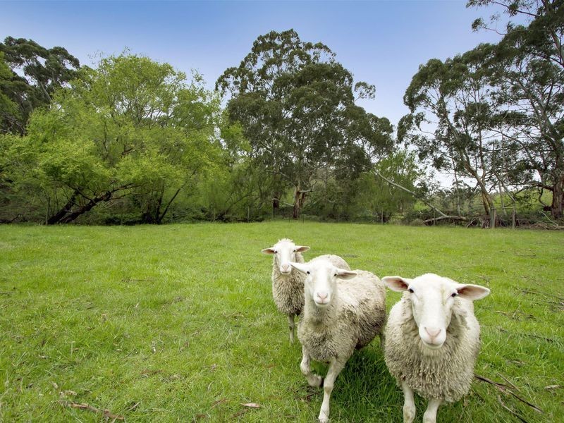 317 Strathalbyn Road, Mylor SA 5153