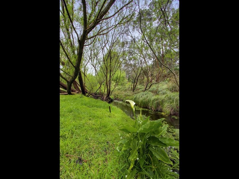 317 Strathalbyn Road, Mylor SA 5153