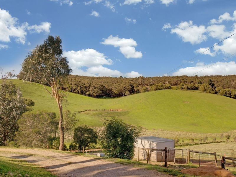 28 Ti Tree Road, Prospect Hill SA 5201