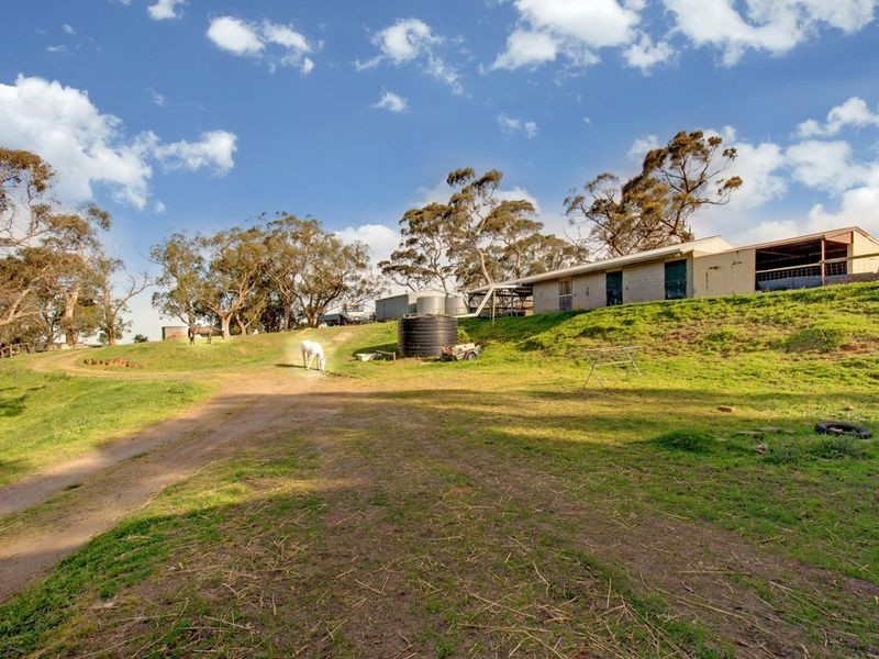 28 Ti Tree Road, Prospect Hill SA 5201