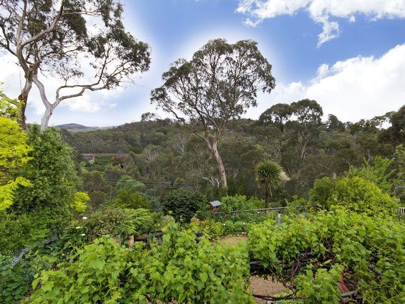 8 Driffield Road, Bridgewater SA 5155