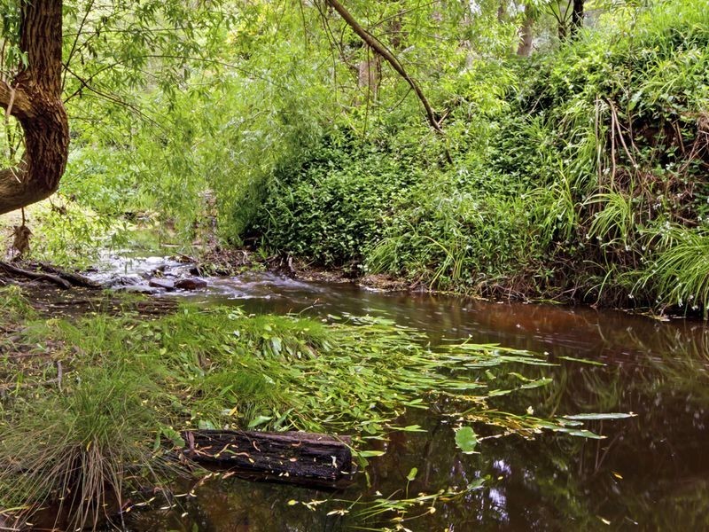 2 Shanks Road, Aldgate SA 5154