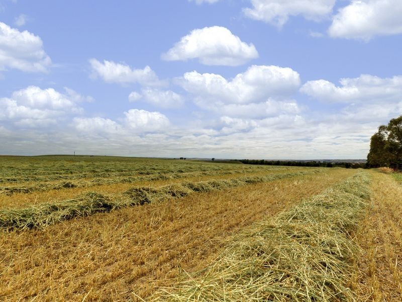 24 Allandale Road, Strathalbyn SA 5255