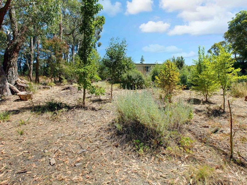 103 Cave Avenue, Bridgewater SA 5155