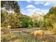 273 Old Mount Barker Road, Echunga SA 5153