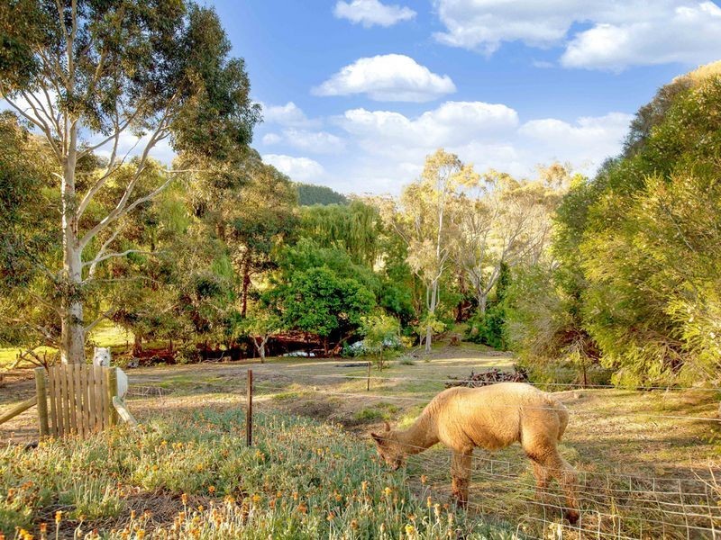 273 Old Mount Barker Road, Echunga SA 5153