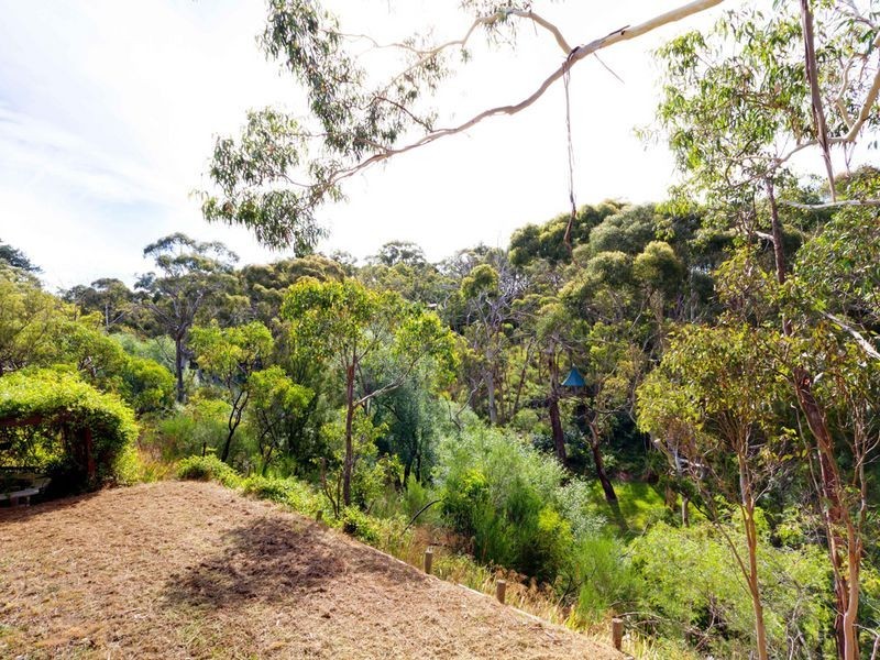 51 Avoca Avenue, Bridgewater SA 5155