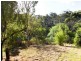 51 Avoca Avenue, Bridgewater SA 5155