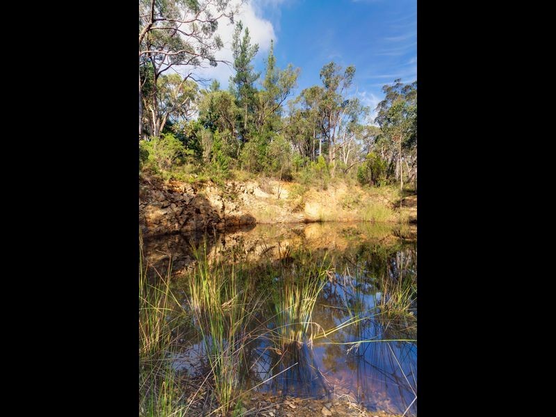 51 Avoca Avenue, Bridgewater SA 5155