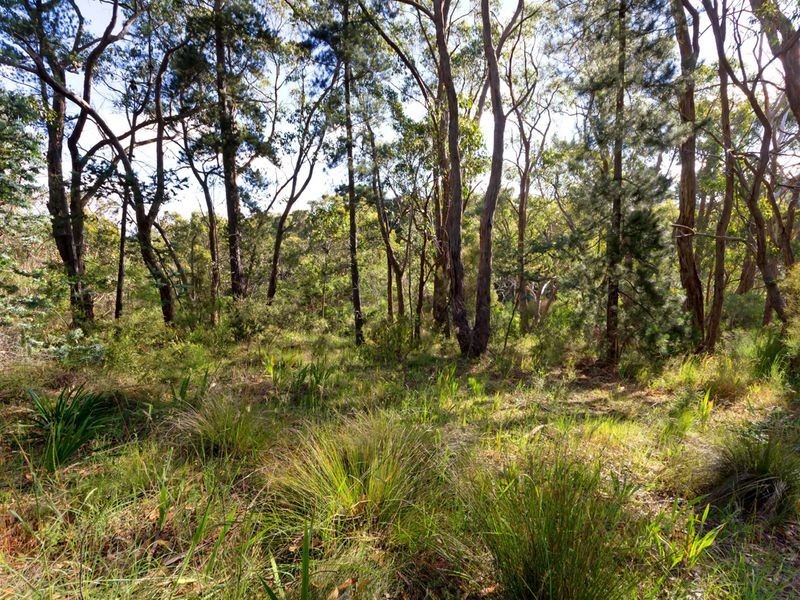 51 Avoca Avenue, Bridgewater SA 5155