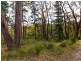 51 Avoca Avenue, Bridgewater SA 5155