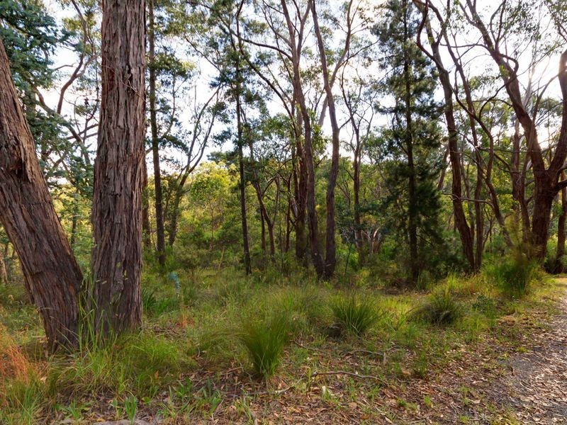 51 Avoca Avenue, Bridgewater SA 5155