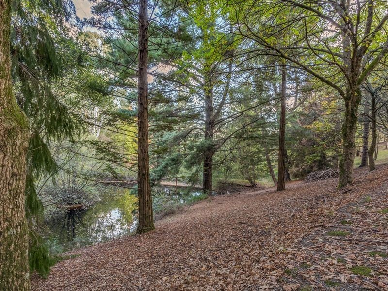 254 Deviation Road, Forest Range SA 5139