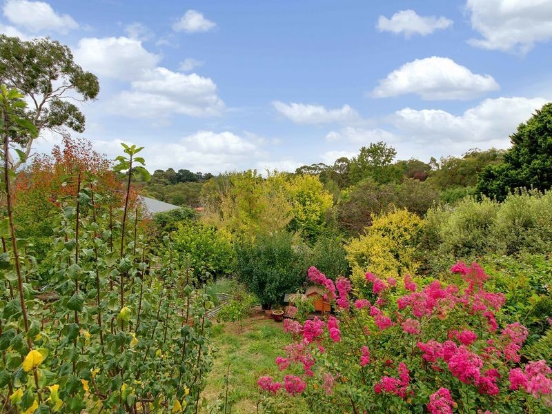 14 Banksia Drive, Bridgewater SA 5155