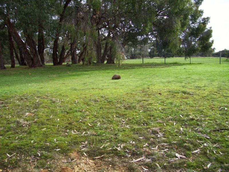 408 Frith Road, Cherry Gardens SA 5157