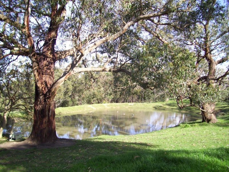 408 Frith Road, Cherry Gardens SA 5157