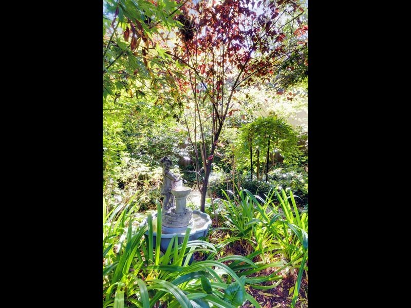 50 Avenue Road, Stirling SA 5152