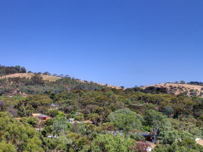 3 Craiglee Close, Coromandel Valley SA 5051