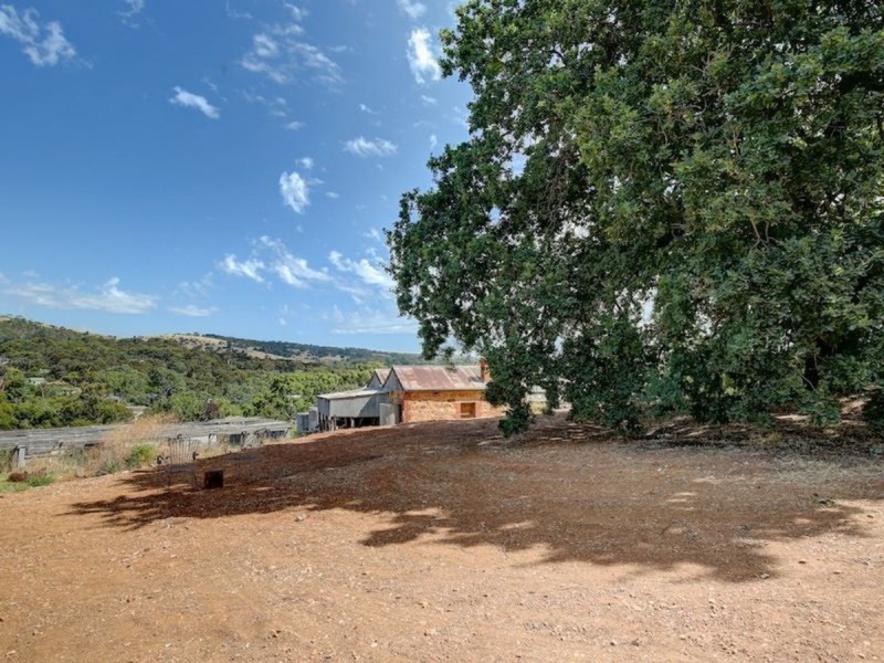 3 Craiglee Close, Coromandel Valley SA 5051
