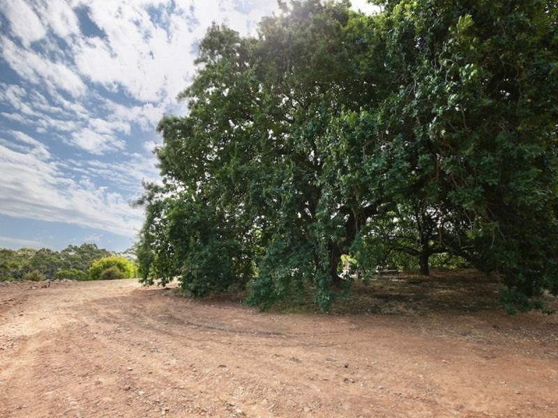 3 Craiglee Close, Coromandel Valley SA 5051