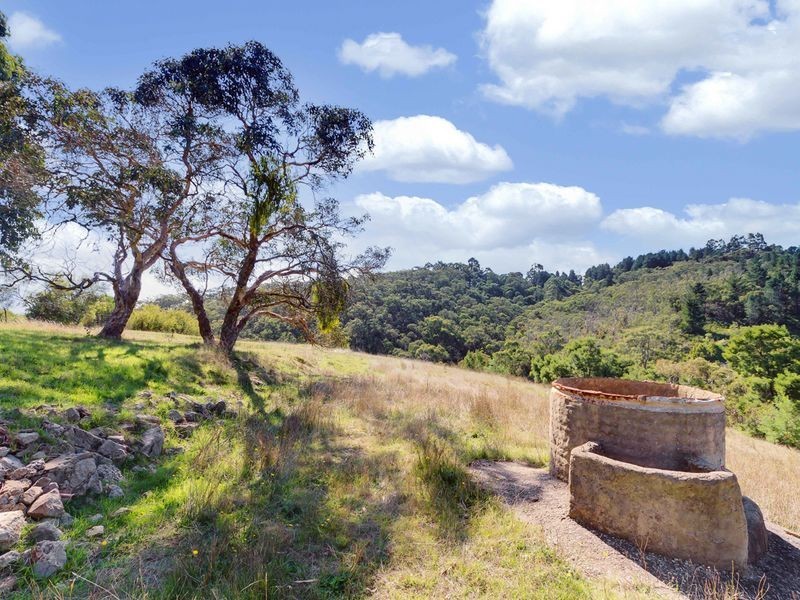 40 Brown Road, Bradbury SA 5153