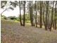 19 Nioka Drive, Ironbank SA 5153