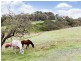 Lot 3 Cambridge Road, Aldgate SA 5154