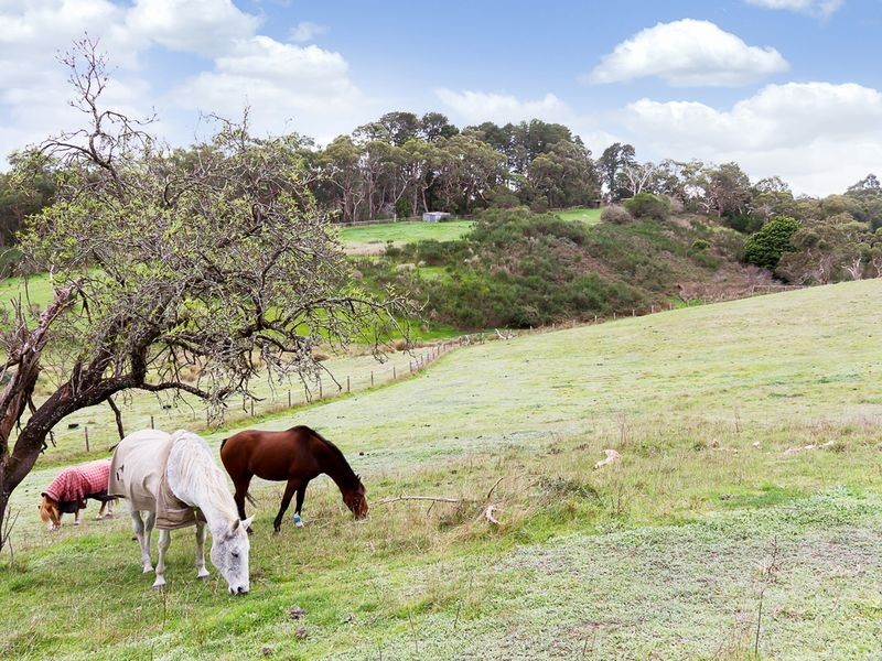 Lot 3 Cambridge Road, Aldgate SA 5154