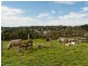 Lot 15 Western Branch Road, Lobethal SA 5241