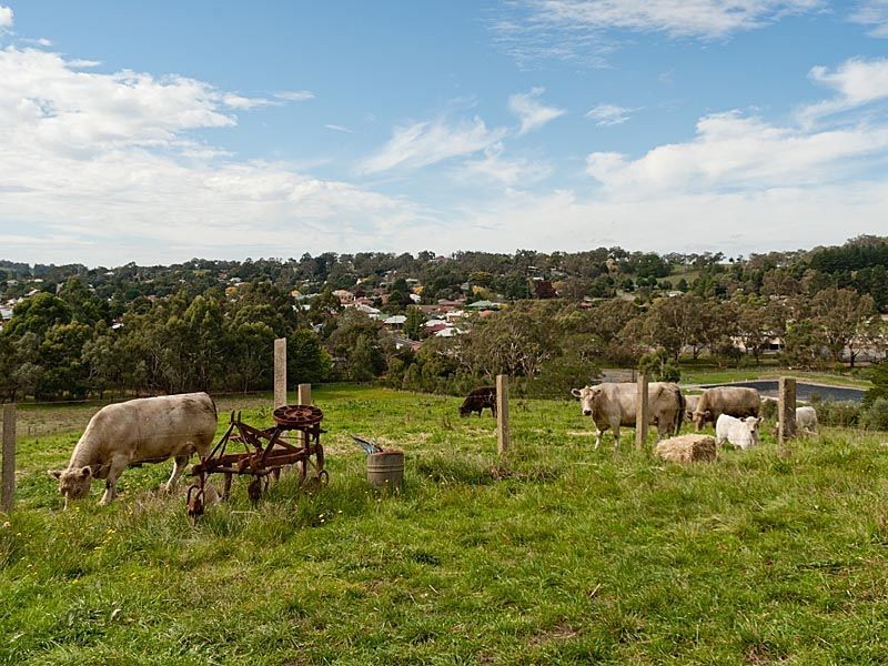 Lot 15 Western Branch Road, Lobethal SA 5241